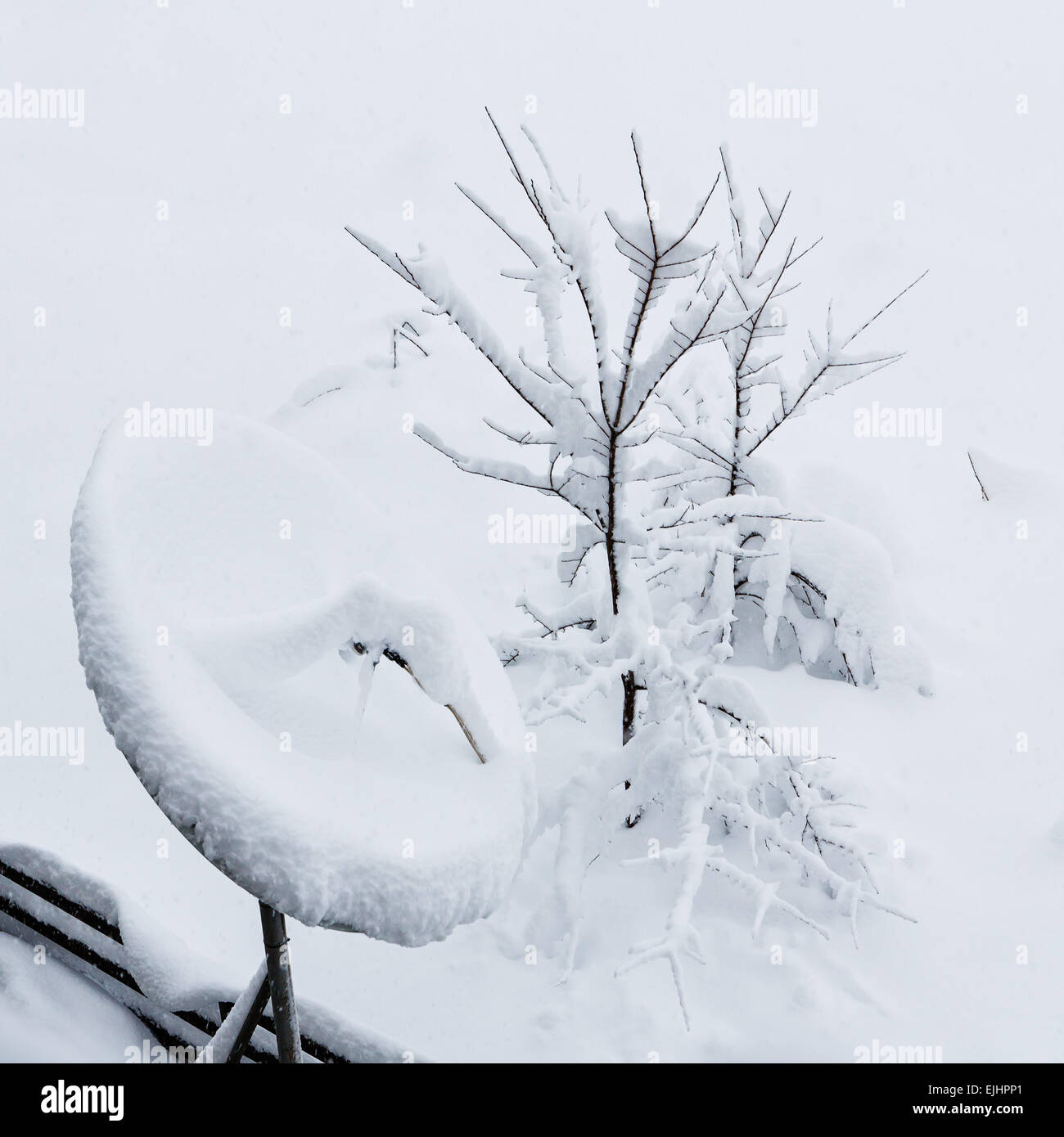 Antenna satellitare coperte da neve dopo una nevicata Foto Stock