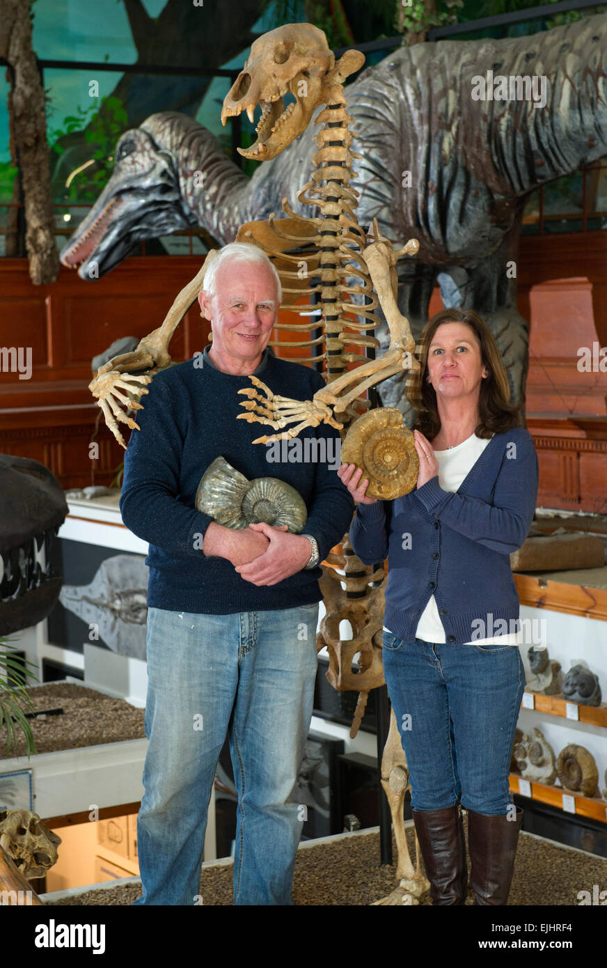 Dinosaurland Museo dei Fossili di Lyme Regis,Dorset,UK con proprietari Steve & Jenny Davies con un fossilizzato orso delle caverne, mamouth zanne e ammoniti. Foto Stock