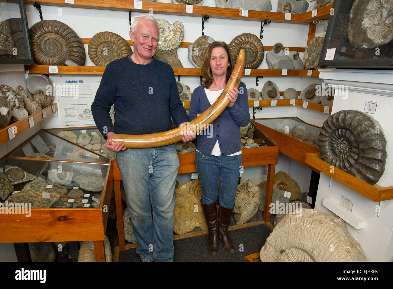 Dinosaurland Museo dei Fossili di Lyme Regis,Dorset,UK con proprietari Steve & Jenny Davies con un fossilizzato orso delle caverne, mamouth zanne e ammoniti. Foto Stock