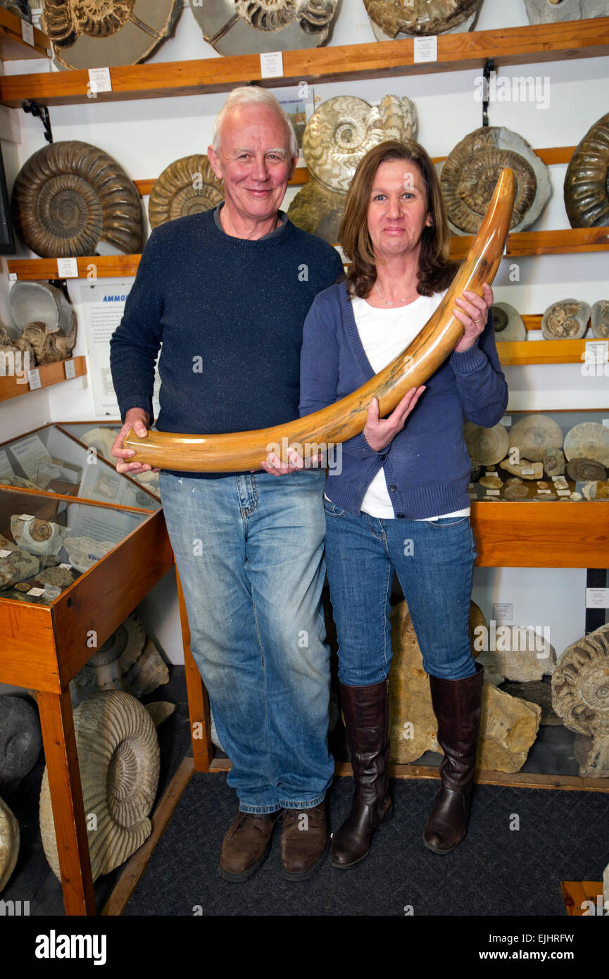 Dinosaurland Museo dei Fossili di Lyme Regis,Dorset,UK con proprietari Steve & Jenny Davies con un fossilizzato orso delle caverne, mamouth zanne e ammoniti. Foto Stock