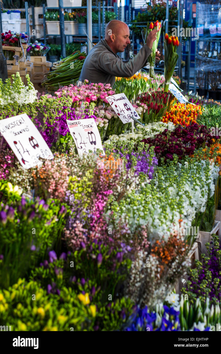 Bancarelle e fiori a Columbia Road Flower Market, Londra, Inghilterra Foto Stock