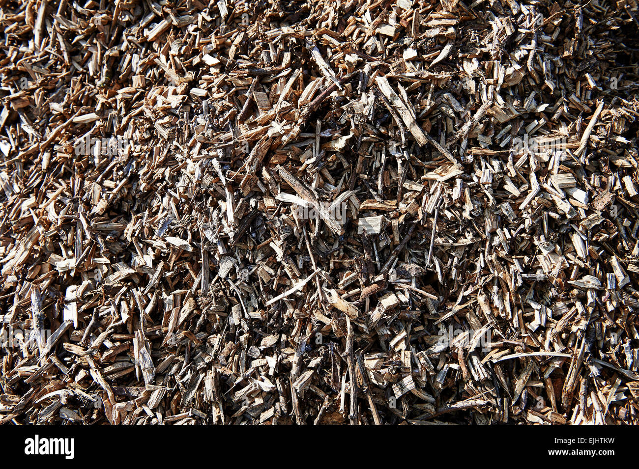 Trucioli di legno riciclato - manutenzione boschiva sottoprodotto utilizzato per il telone. Foto Stock