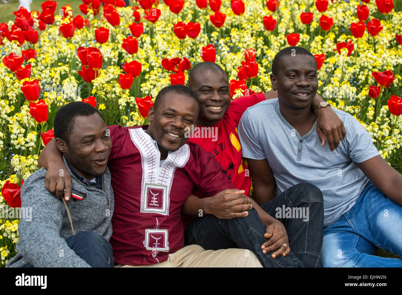 Gruppo Africano seduto sul prato fuori Buckingham Palace con i tulipani, Londra, Inghilterra Foto Stock