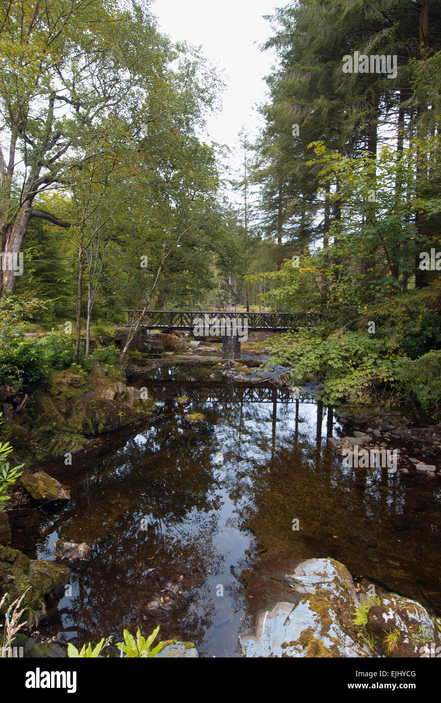 Uno di 16 ponti attraverso il Fiume Shimna in Tollymore Forest Park, Irlanda del Nord Foto Stock