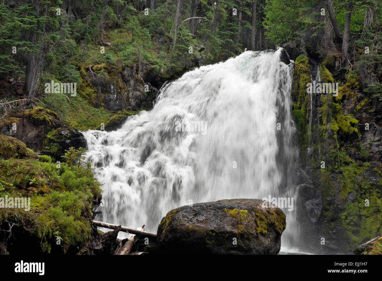 O01780-00...OREGON - Superiore cade sulla North Fork Bridge Creek in Deschutes National Forest vicino a piegare. Foto Stock