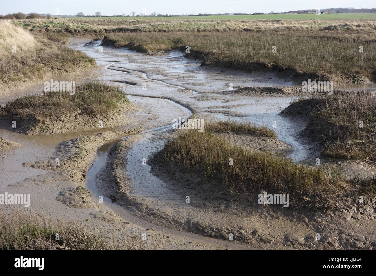 Crouch estuary, atmosferici palude salata con segni di cambiamenti di marea e tracce di fango. Foto Stock