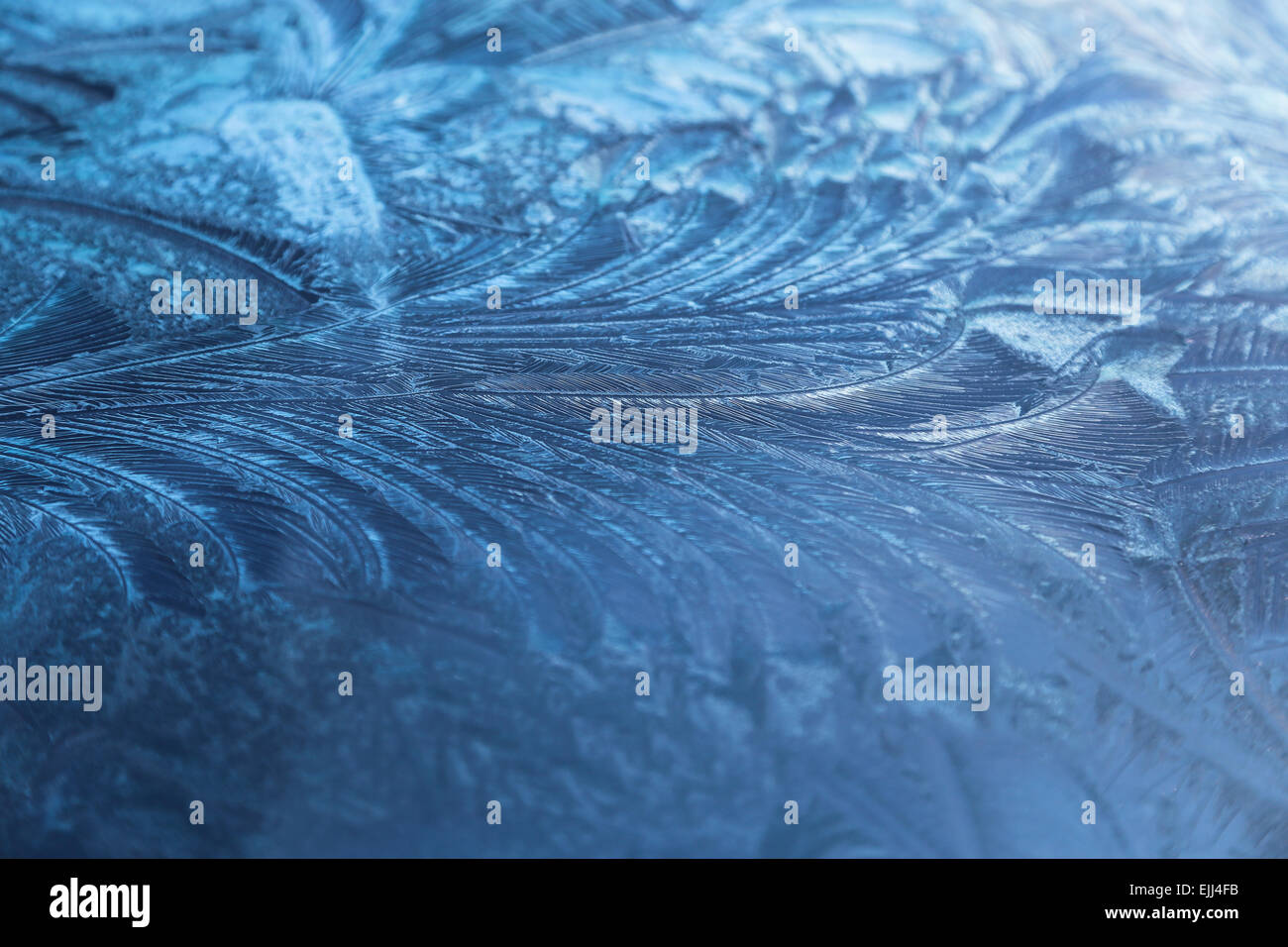 Close up di blu venato frost pattern di piuma su di un parabrezza di automobile, Foto Stock