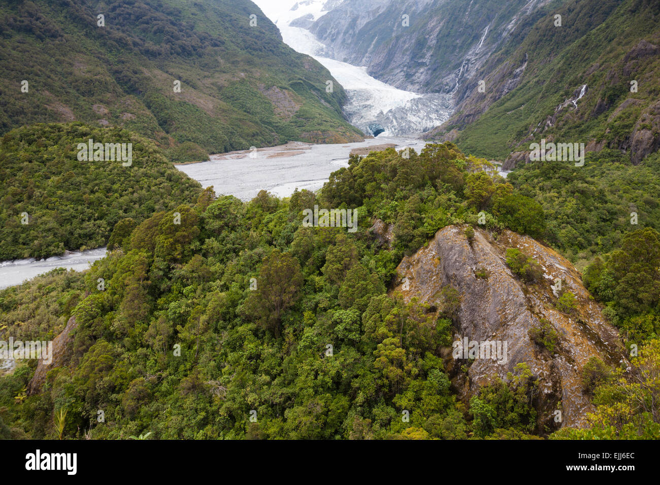 Ghiacciaio Franz Josef, le montagne e la foresta pluviale, Westland Tai Poutini National Park, Isola del Sud, Nuova Zelanda Foto Stock