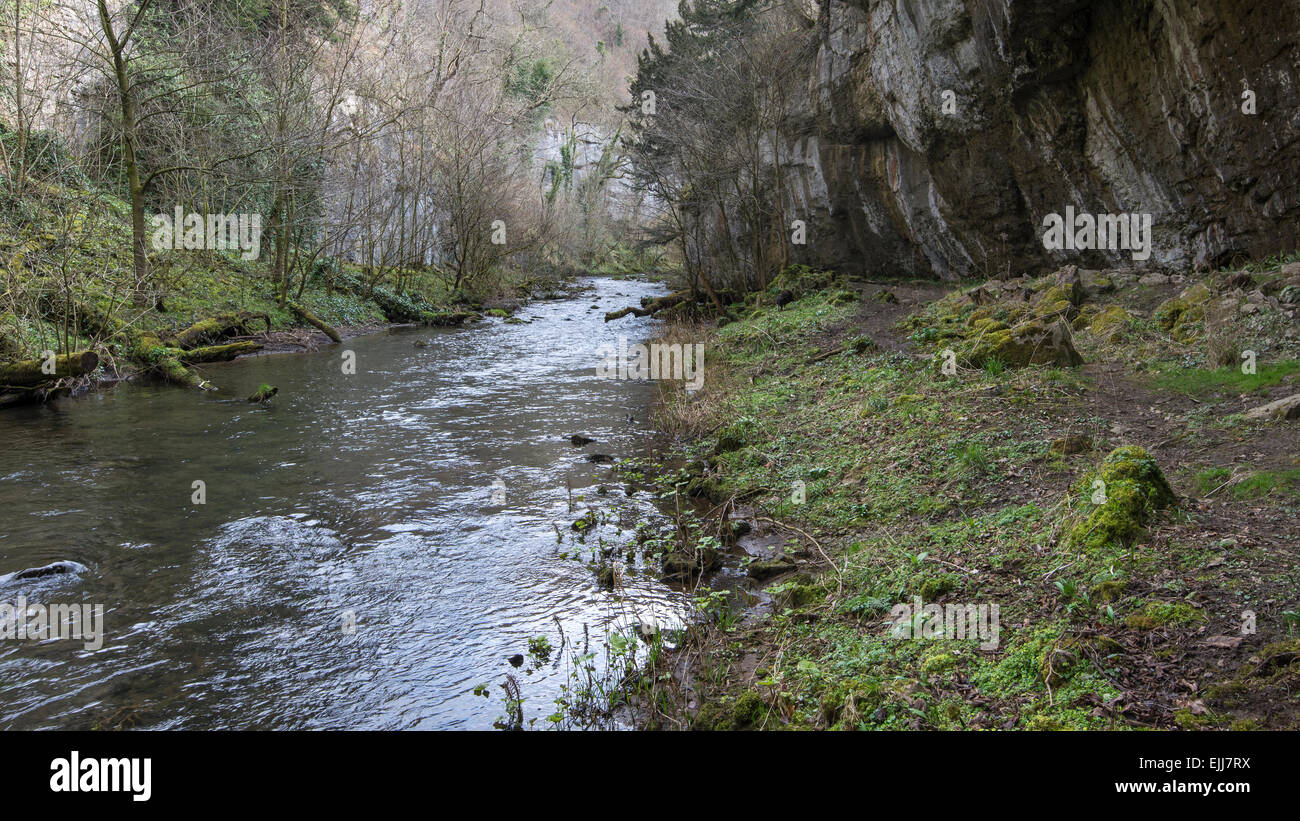 Drammatica roccia calcarea a strapiombo sul fiume Wye in Chee Dale, Derbyshire. Foto Stock