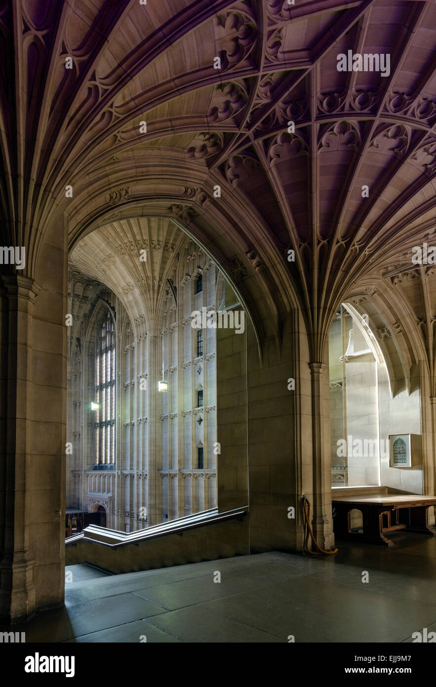 Interno del Wills Memorial Building, iconico Edificio dell'Università di Bristol. Foto Stock