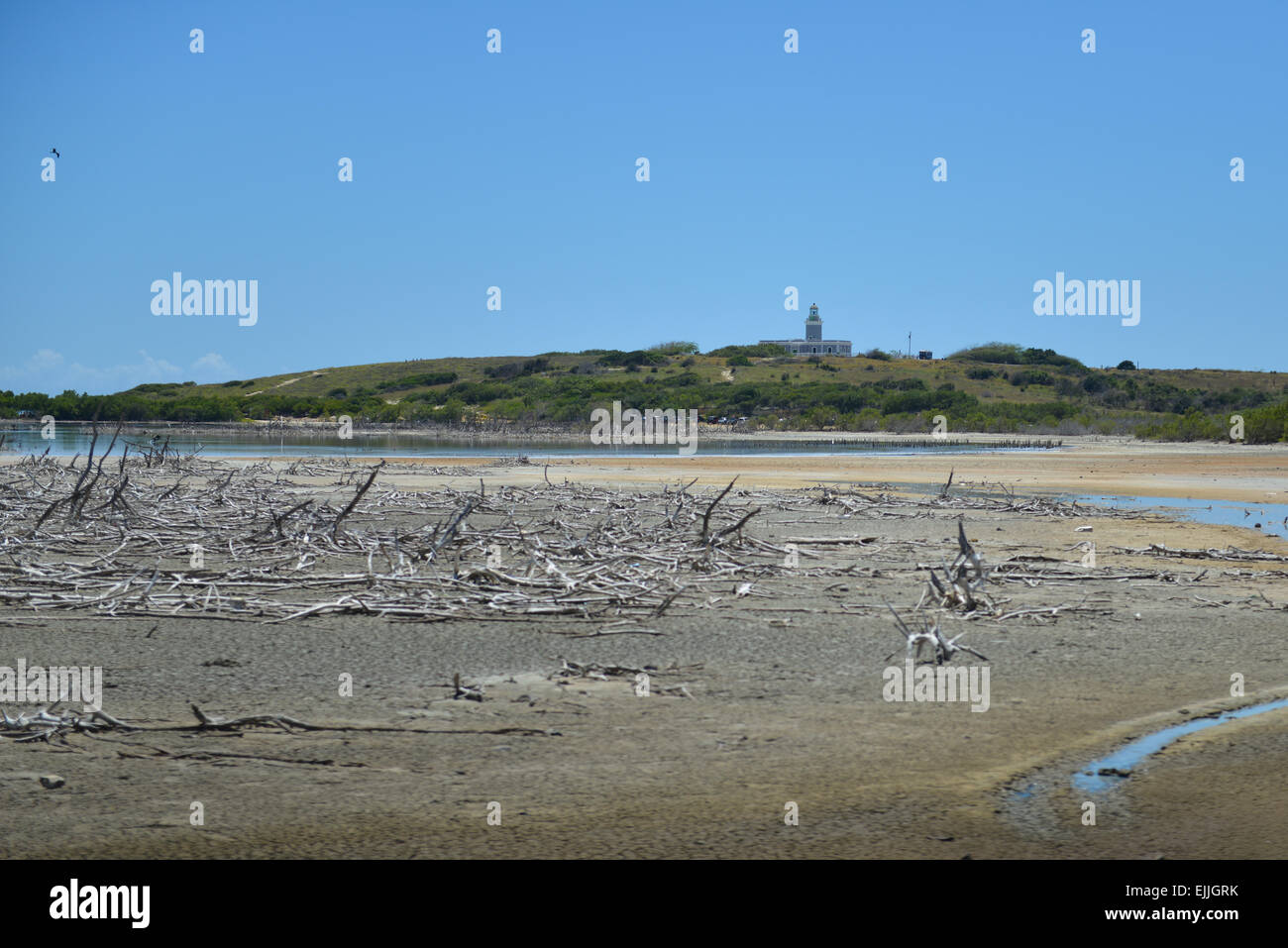 Cabo Rojo Faro Los Morrillos) visto da lontano. Cabo Rojo, Puerto Rico. Territorio statunitense. Isola dei caraibi. Foto Stock