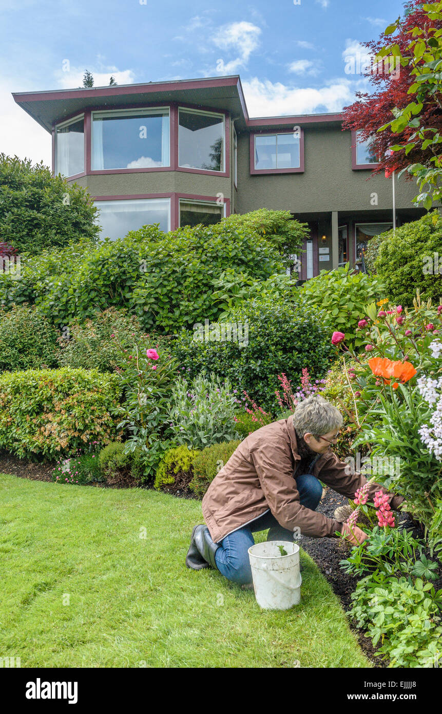La donna le erbacce nel giardino. Foto Stock