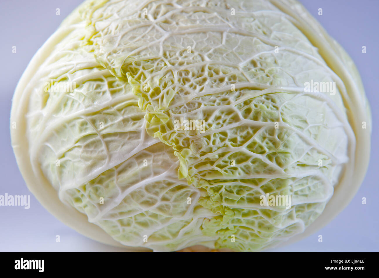 Una metà di un cavolo cappuccio isolato su sfondo blu Foto Stock