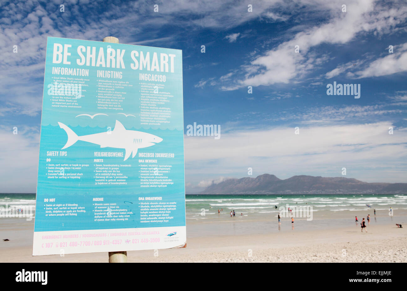 Squalo attacca i segnali di avvertimento, Muizenberg, vicino a Città del Capo, Sud Africa. Foto Stock
