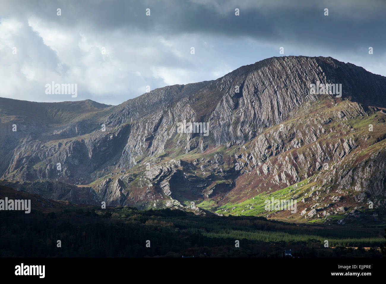 Esposti roccia arenaria sulla montagna Coomacloghane, Glanmore Valley, penisola di Beara, nella contea di Kerry, Irlanda. Foto Stock