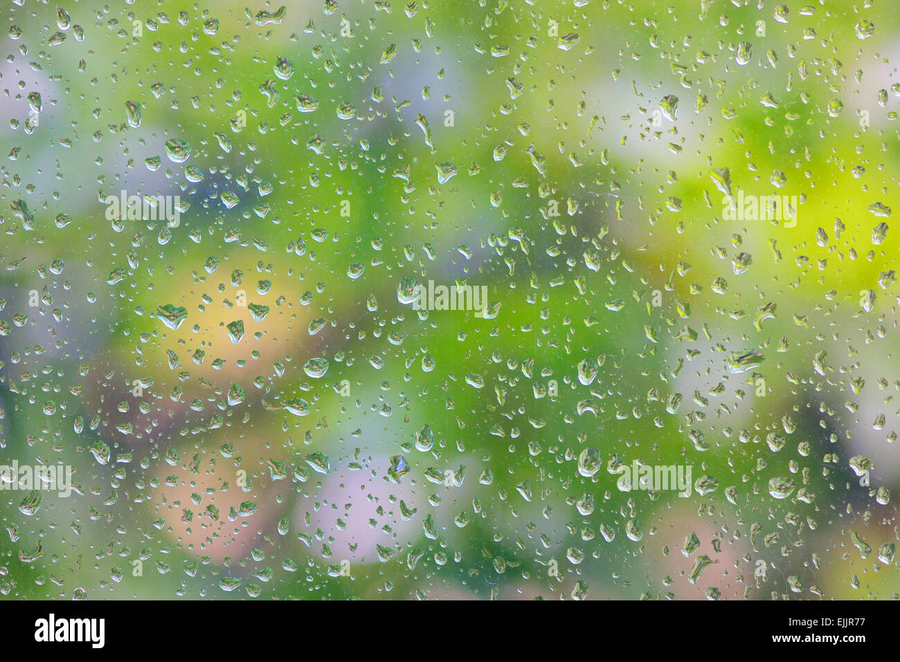 La pioggia caduta sul vetro del finestrino con albero di sfocatura sullo sfondo Foto Stock