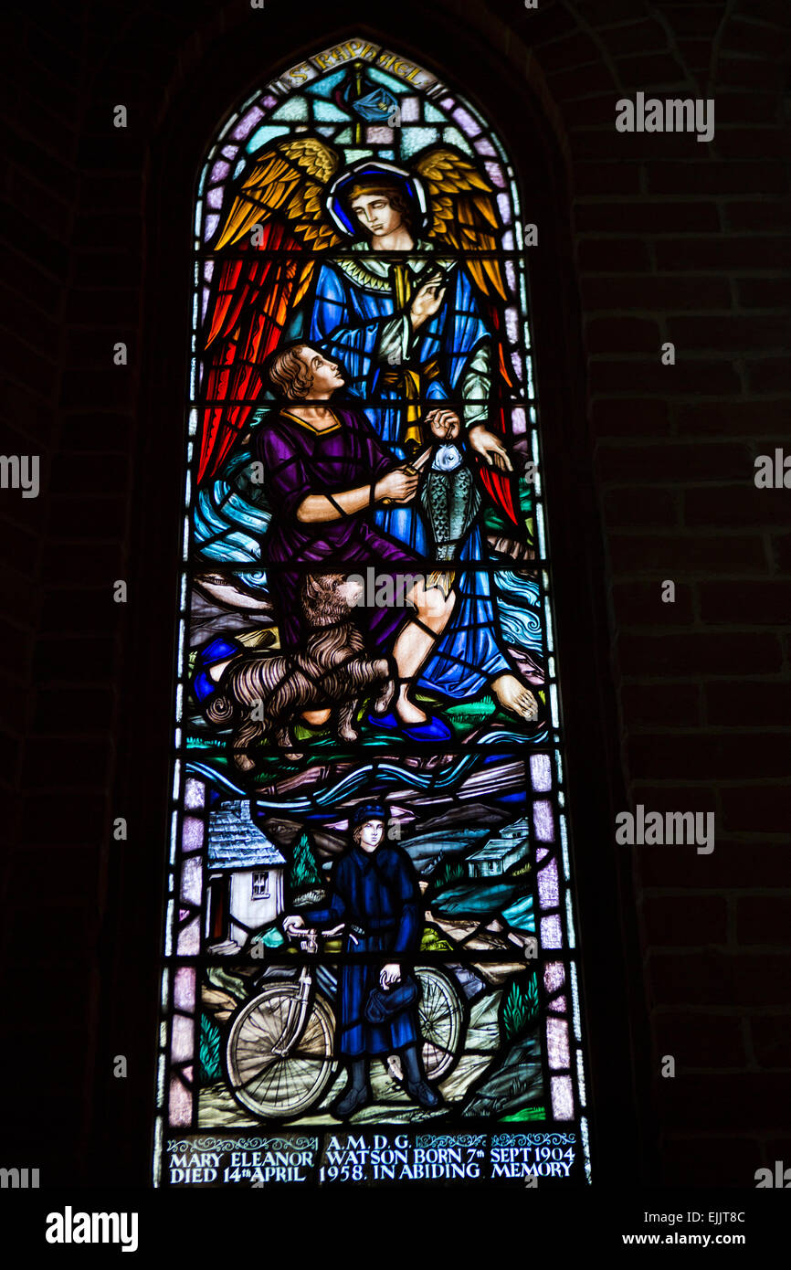 Falkland Port Stanley, la cattedrale di Christ Church, Maria Watson, distretto infermiere finestra memorial Foto Stock