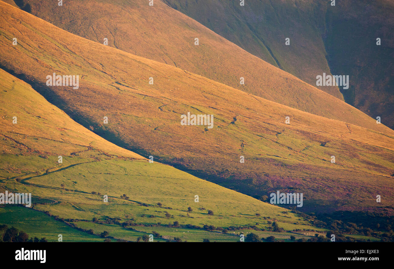 Luce della Sera sulle pendici delle montagne Galtee, nella contea di Tipperary, Irlanda. Foto Stock