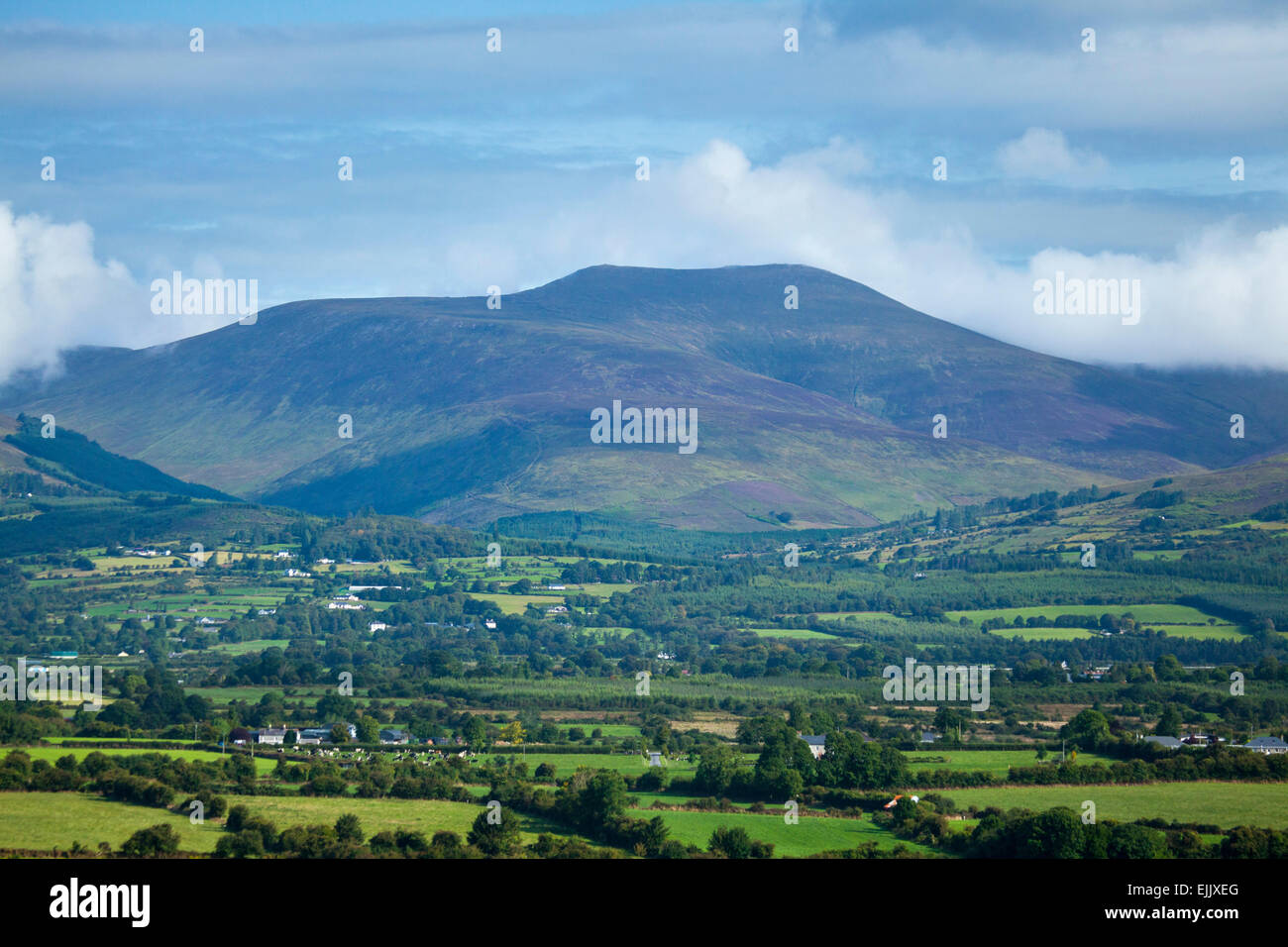 Galtymore dal sud, montagne Galtee, nella contea di Tipperary, Irlanda. Foto Stock