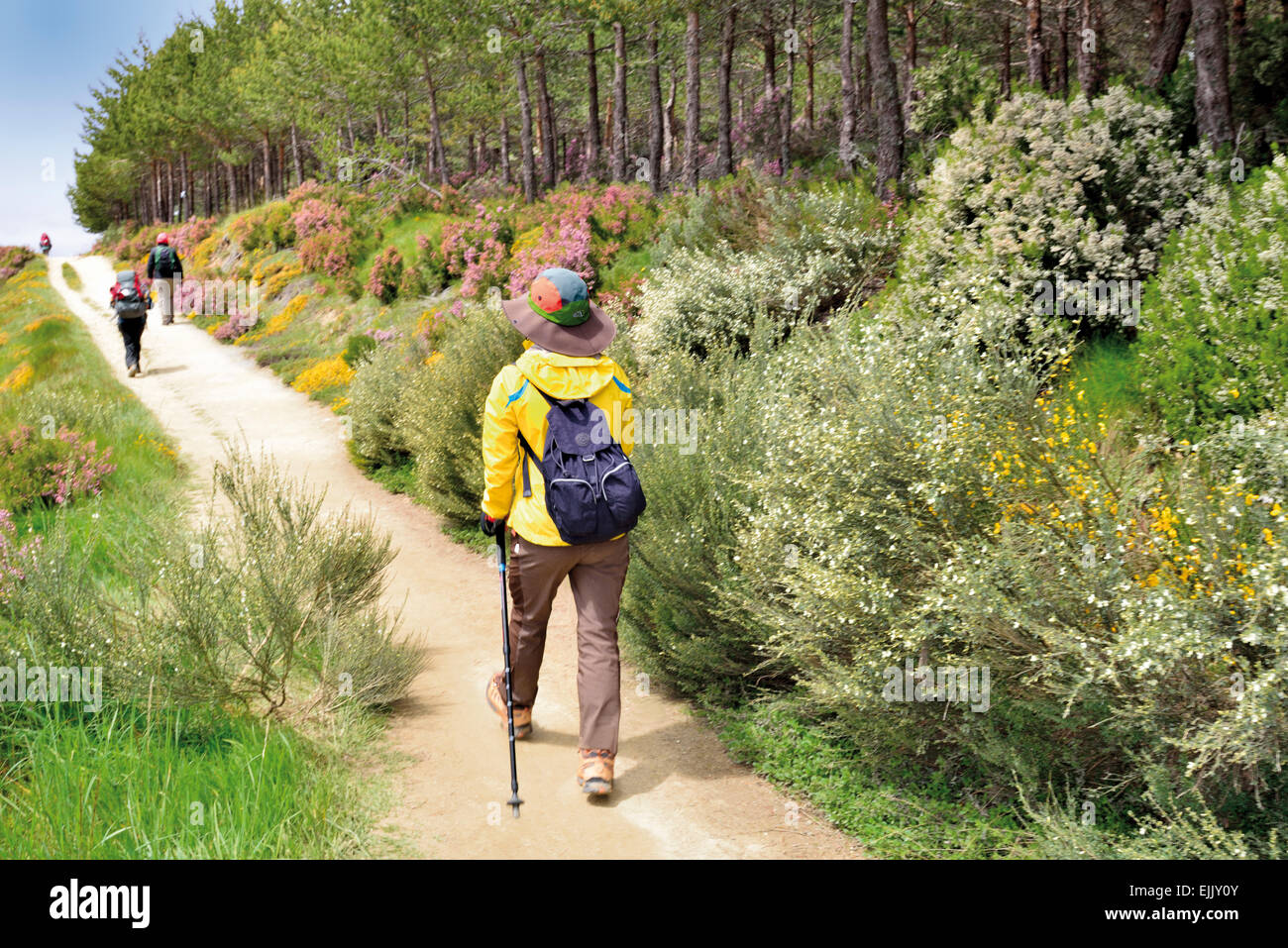 Spagna, San Giacomo titolo: Pellegrini a piedi a un piccolo sentiero tra Foncebadon e Cruz de Hierro Foto Stock