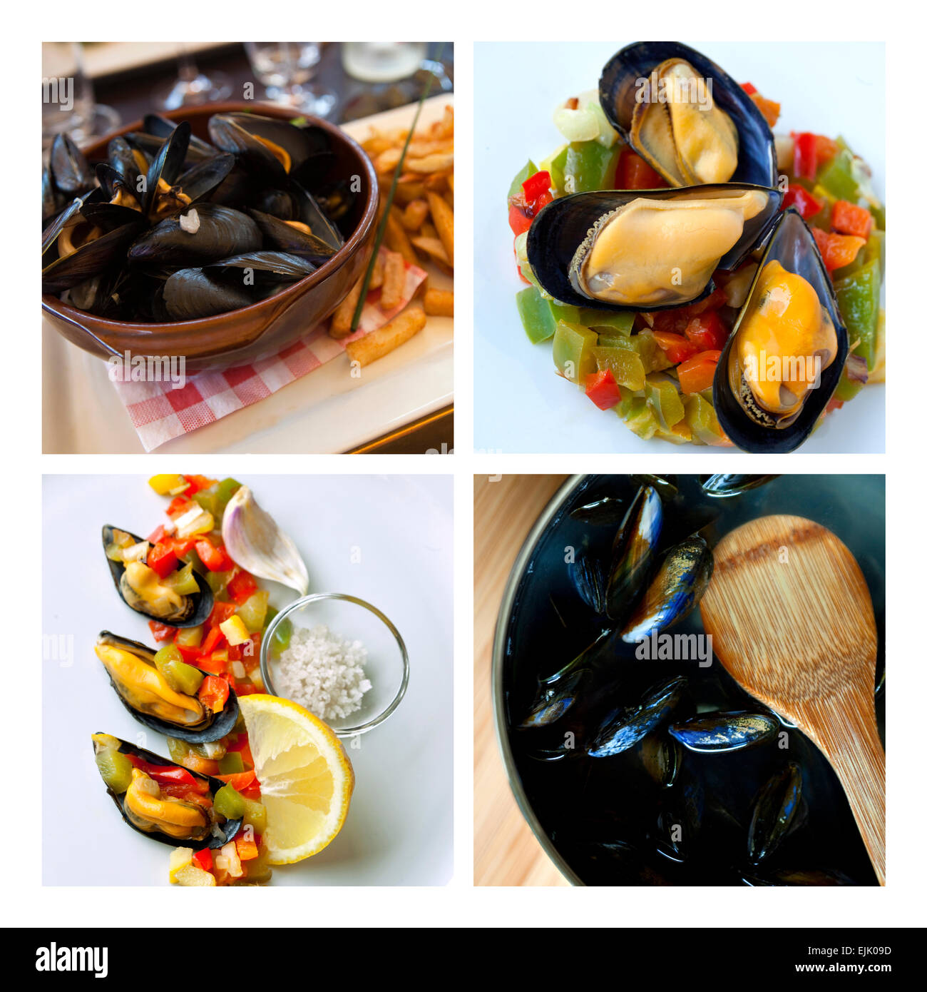 Piatti di cozze su un collage Foto Stock