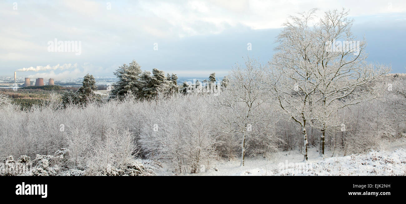Scena invernale attraverso la valle di Trento visto dal castello anello con la neve e il gelo su Cannock Chase AONB Area naturale di straordinaria Foto Stock