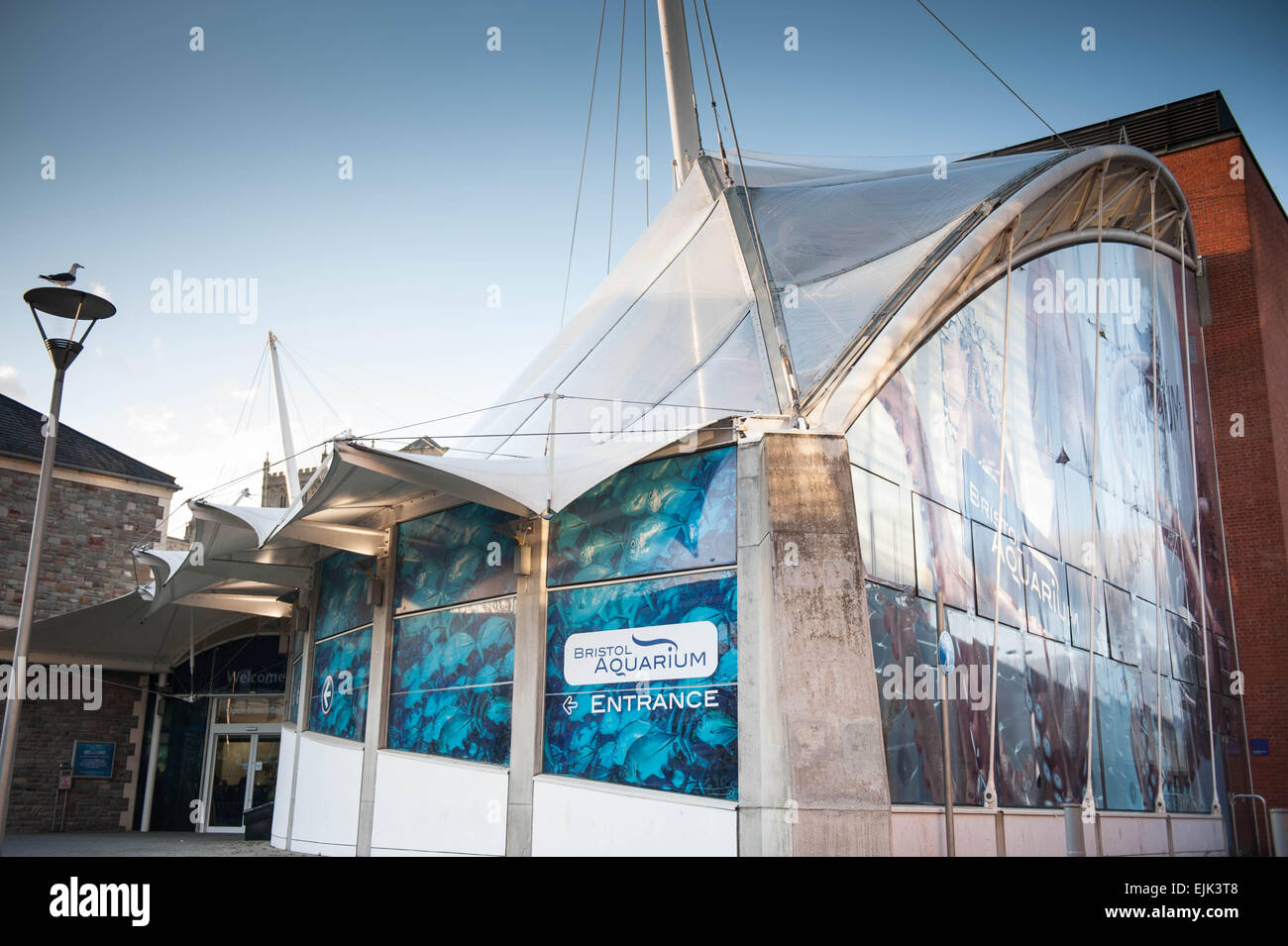 Esterno il colpo di Bristol Aquarium nel centro città di Bristol Foto Stock