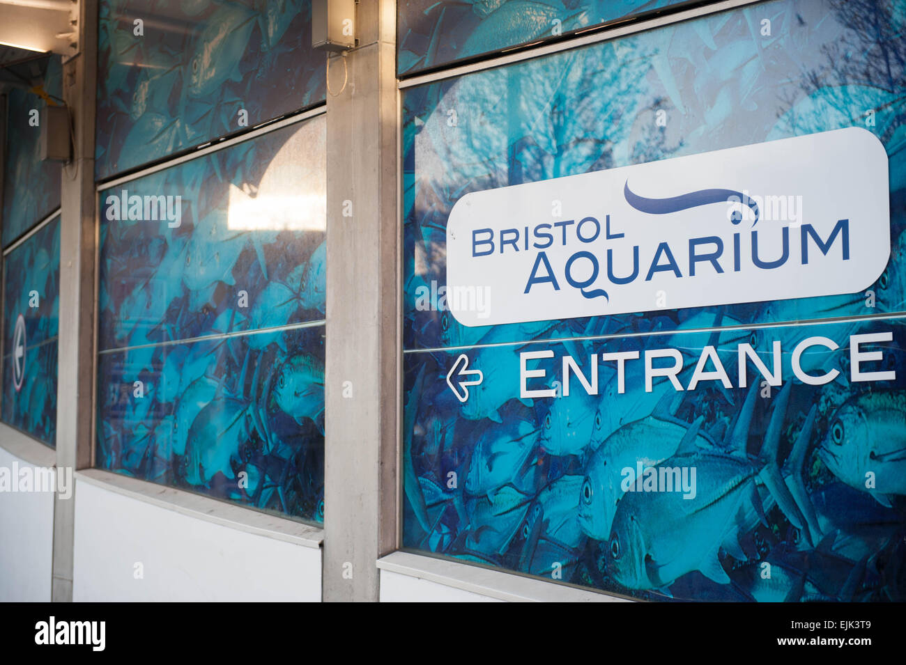 Esterno il colpo di Bristol Aquarium nel centro città di Bristol Foto Stock