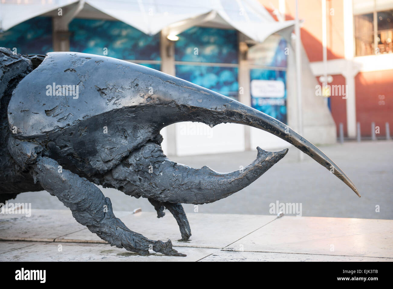 Inconsueta scultura moderna al di fuori di Bristol Aquarium nel centro città di Bristol Foto Stock