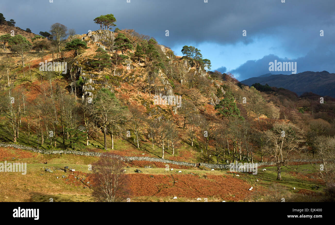 Vista su tutta Cwm Llan dal percorso Watkin nel Parco Nazionale di Snowdonia Gwynedd North Wales UK Foto Stock