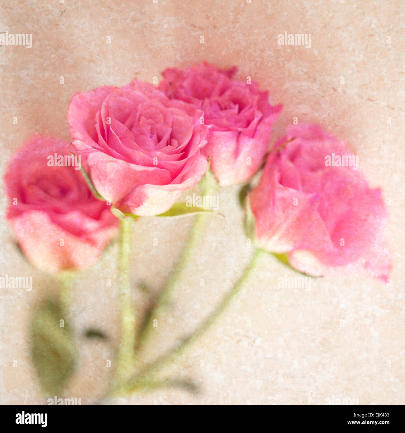 Rosa rosa Pietra di marmo naturale Collage di sfondo Foto Stock