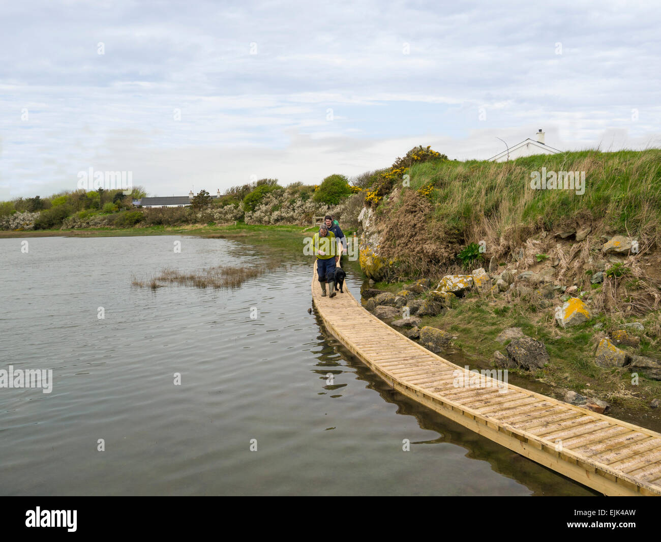 Walkers sulla nuova passerella ad alta marea su tutto il Galles via costiera sull isola di Anglesey North Wales UK Foto Stock
