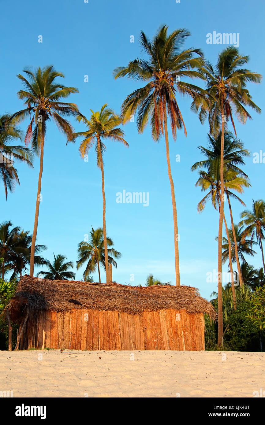 Sabbia bianca, shack e palme su una spiaggia tropicale dell'isola di Zanzibar Foto Stock
