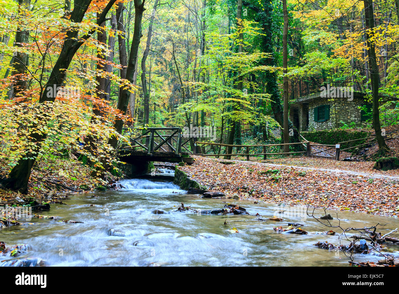 Fiume di montagna nella foresta, paesaggio autunnale in Ungheria Foto Stock