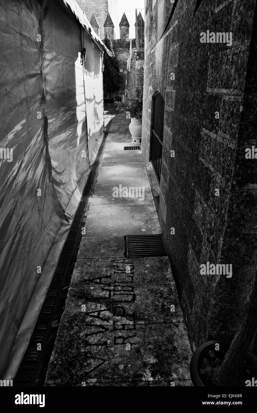 Almodovar Castello è una fortezza militare originariamente costruire dagli arabi nel 740 prese un vantaggio di un antico edificio dei primi Foto Stock