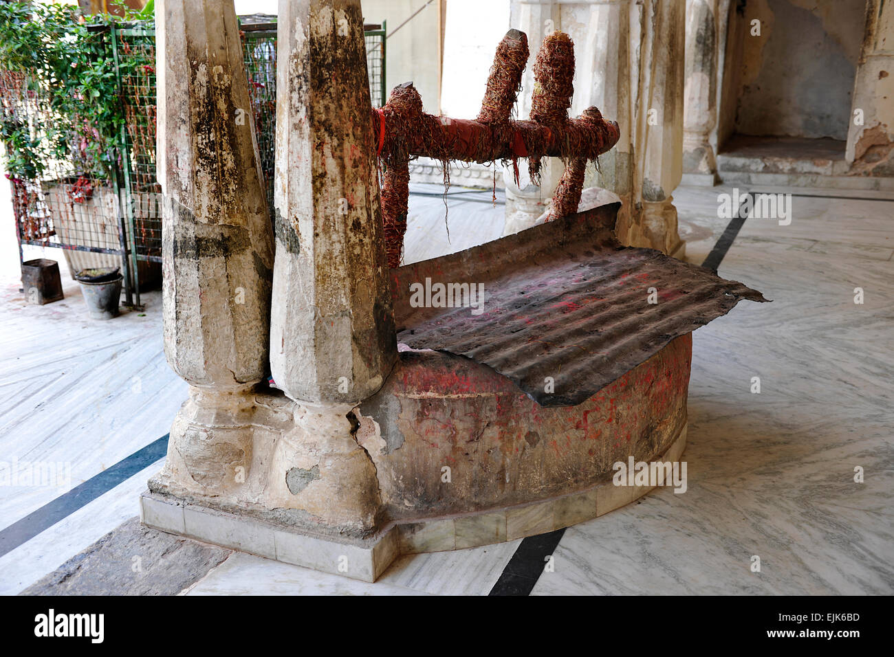 Monkey Temple (Galwar Bagh), Jaipur India Foto Stock