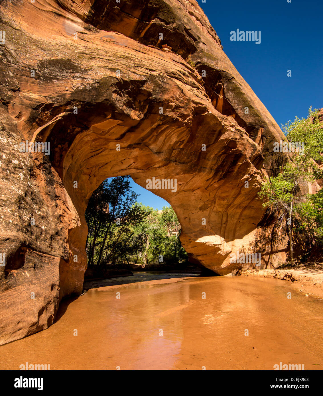 Coyote Natural Bridge - Coyote Gulch Foto Stock