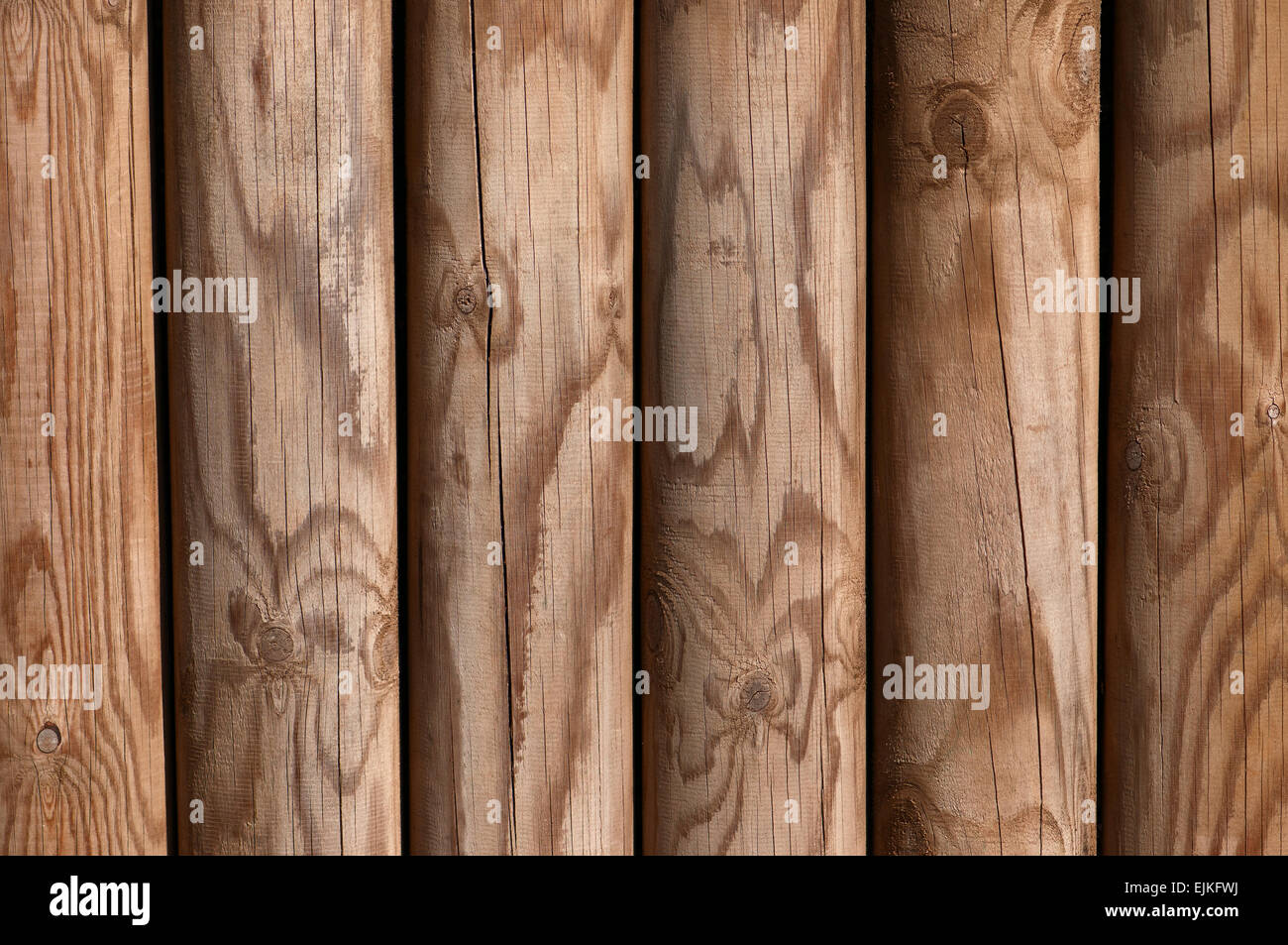 Pino in legno recinzione pannello texture di sfondo luminoso Foto Stock