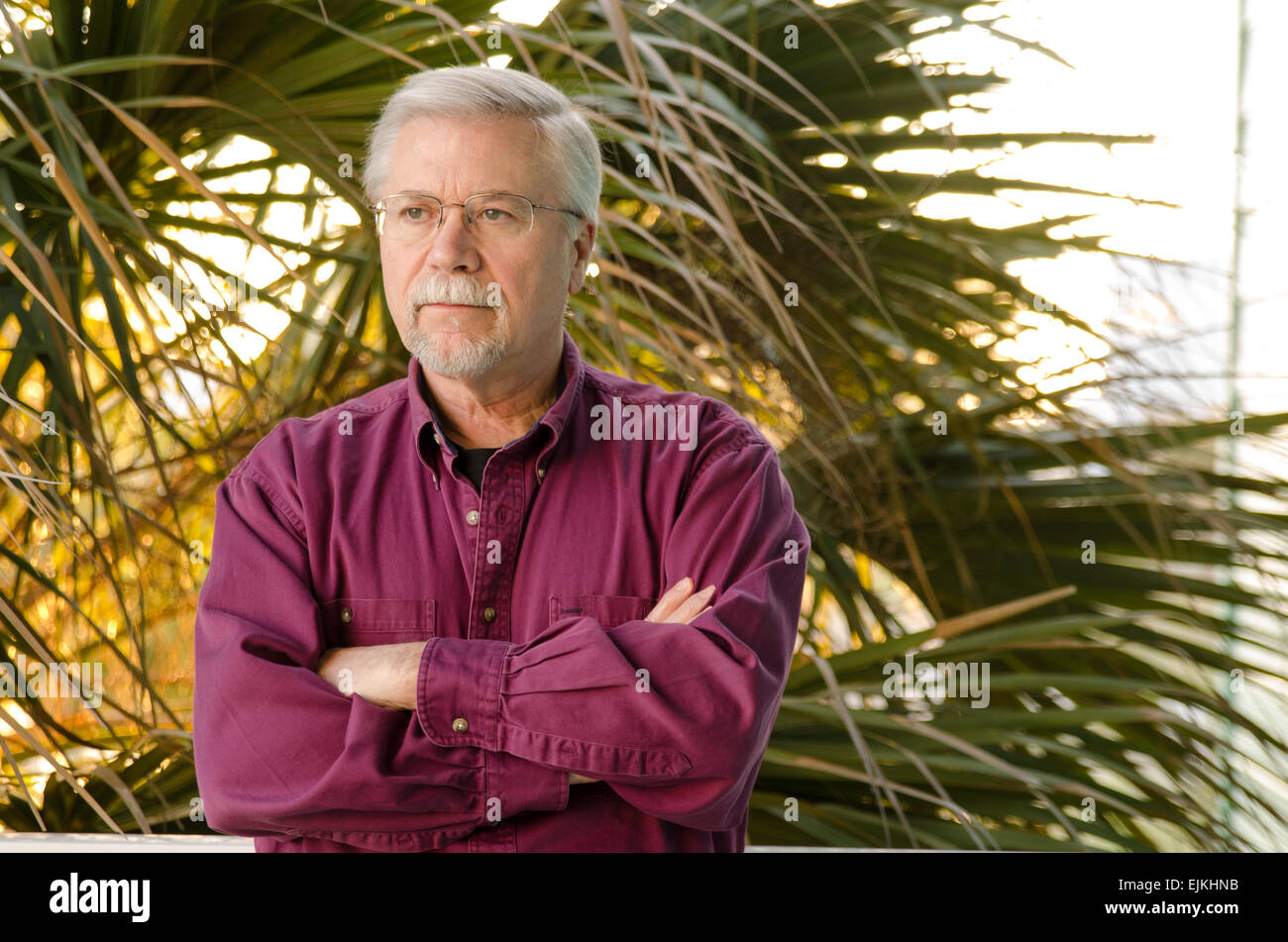 Senior l uomo nella sua 60s in piedi con le braccia incrociate davanti a un palmare Palm Foto Stock