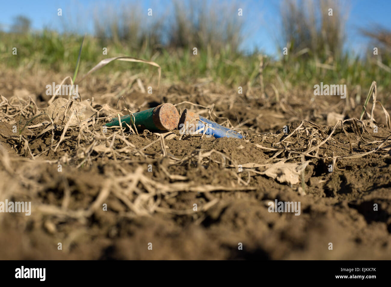 Rusty trascorso fucile cartucce su un prato piano. Si tratta di un cattivo comportamento di molti cacciatori in Spagna Foto Stock