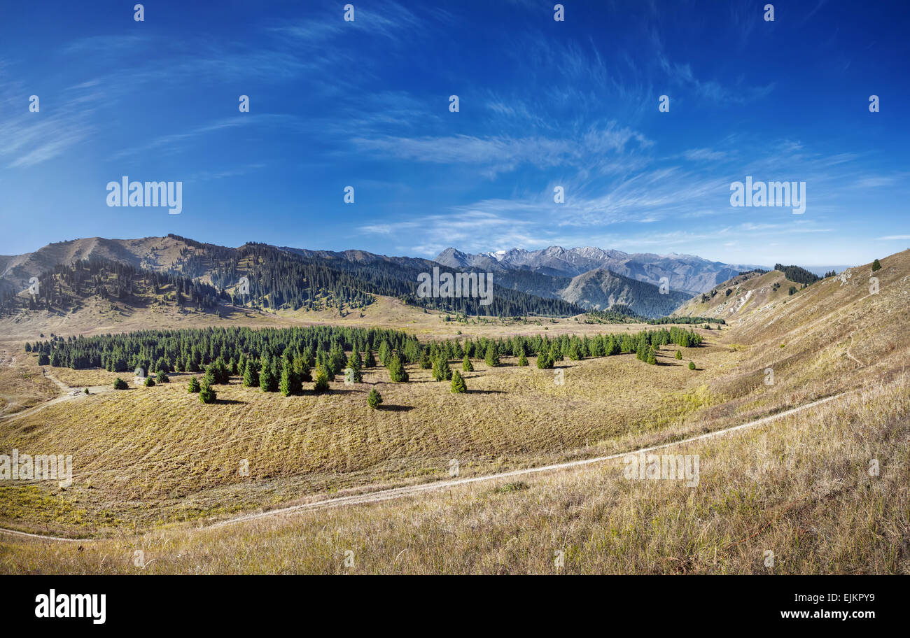 Panorama di Kok Zhailyau valle di montagna con bosco di abeti in cielo blu in Almaty, Kazakhstan Foto Stock