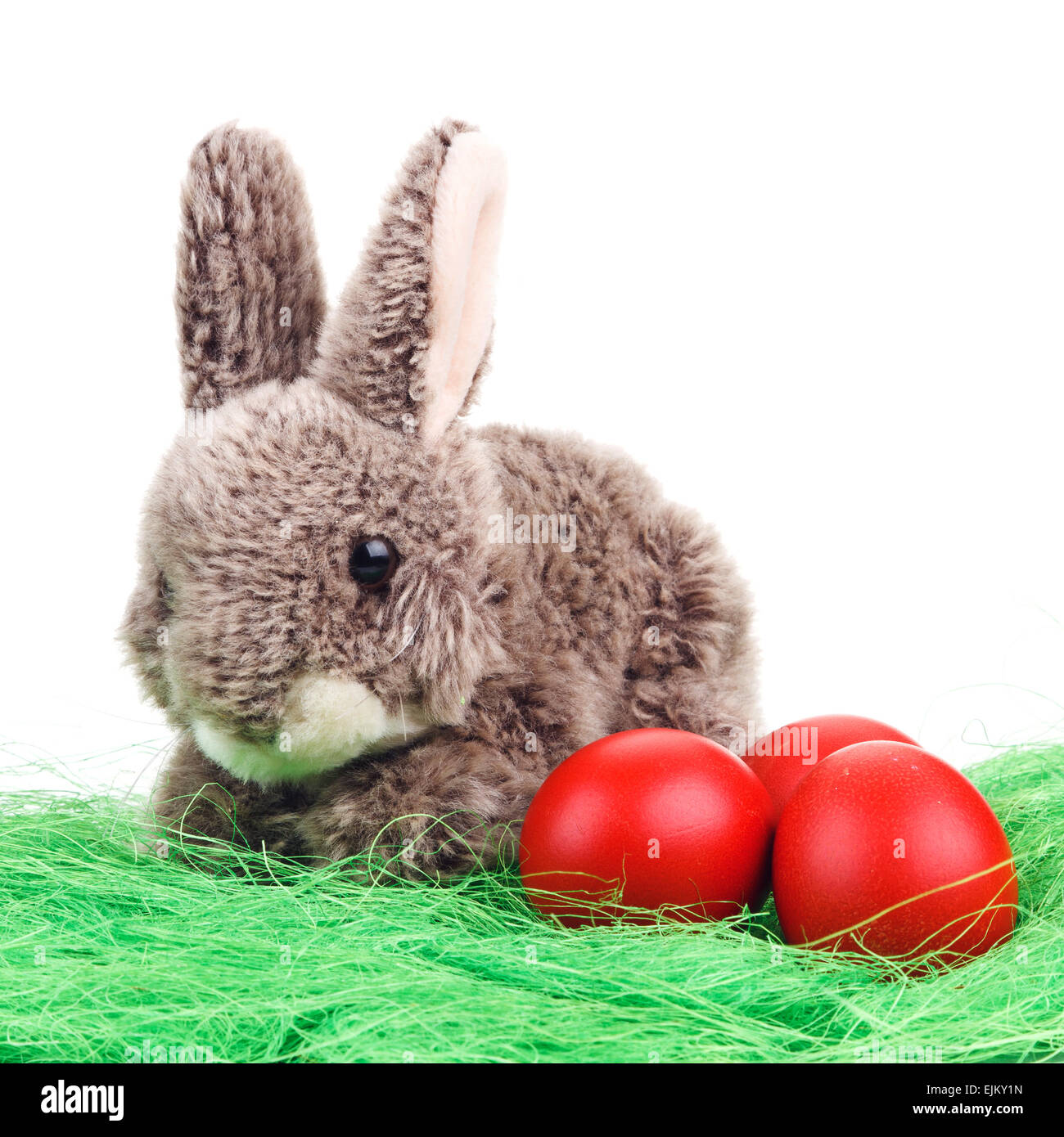 Coniglietto di pasqua con uova Foto Stock