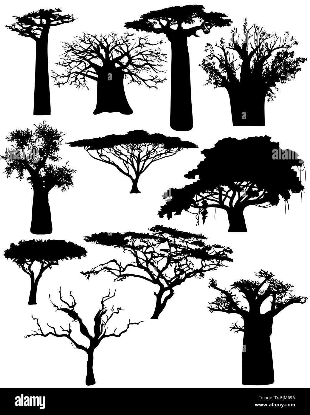 Illustrazione delle varie africana di alberi e cespugli - vettore Illustrazione Vettoriale