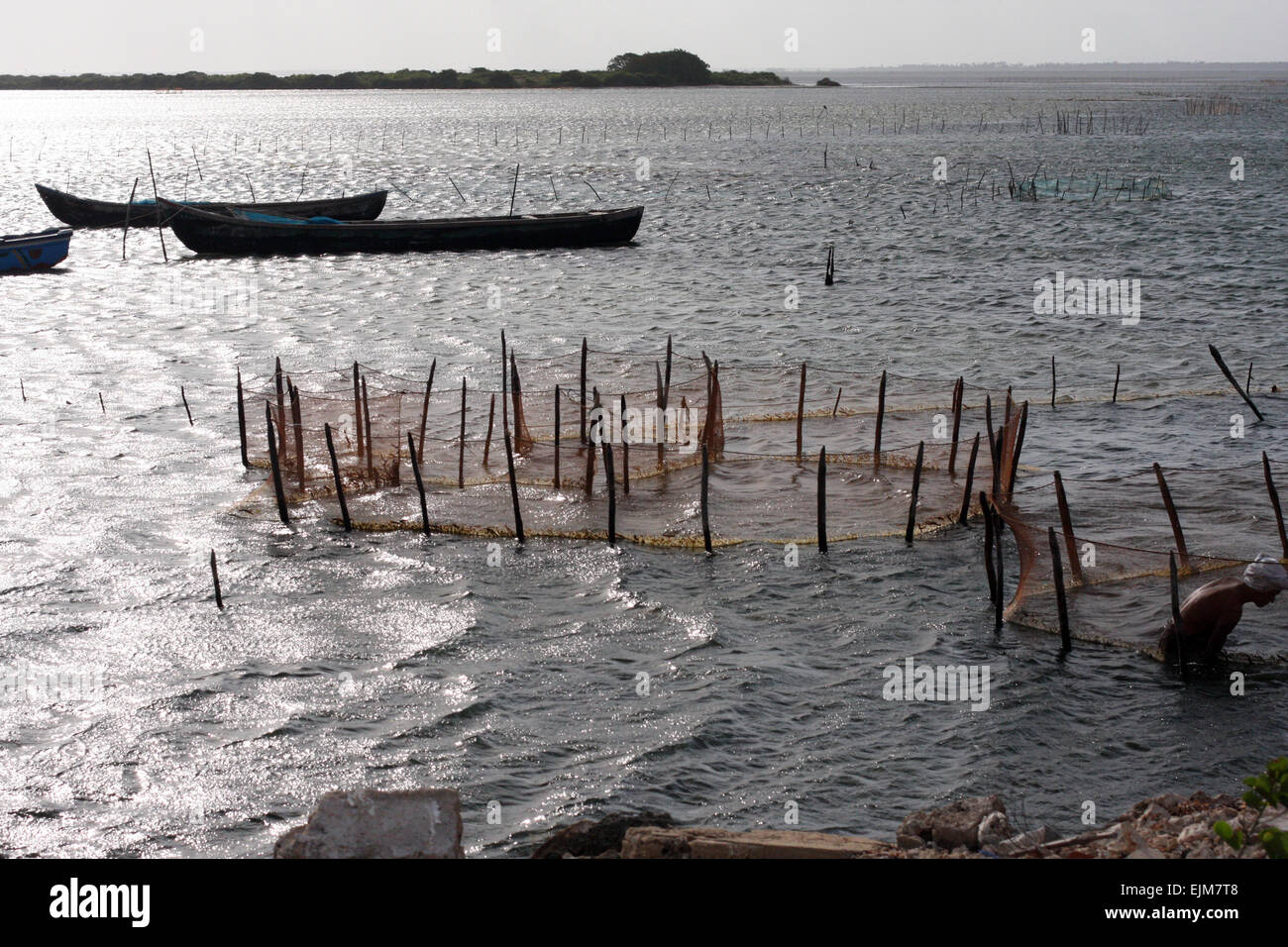 Canoe e reti da pesca sul mare vicino all'isola di Punkudutivu, alla penisola di Jaffna, Sri Lanka Foto Stock