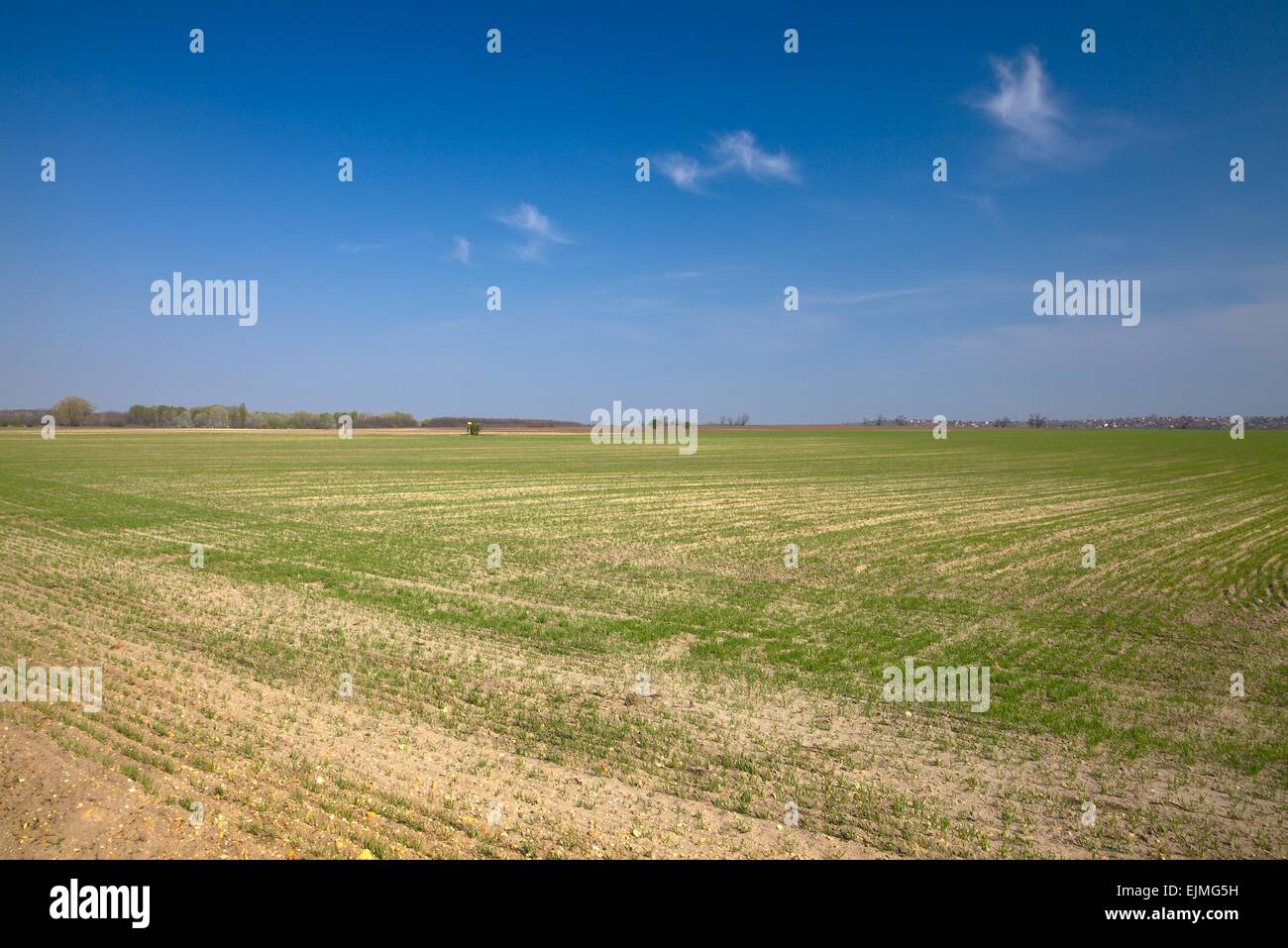 Agricoltura Foto Stock