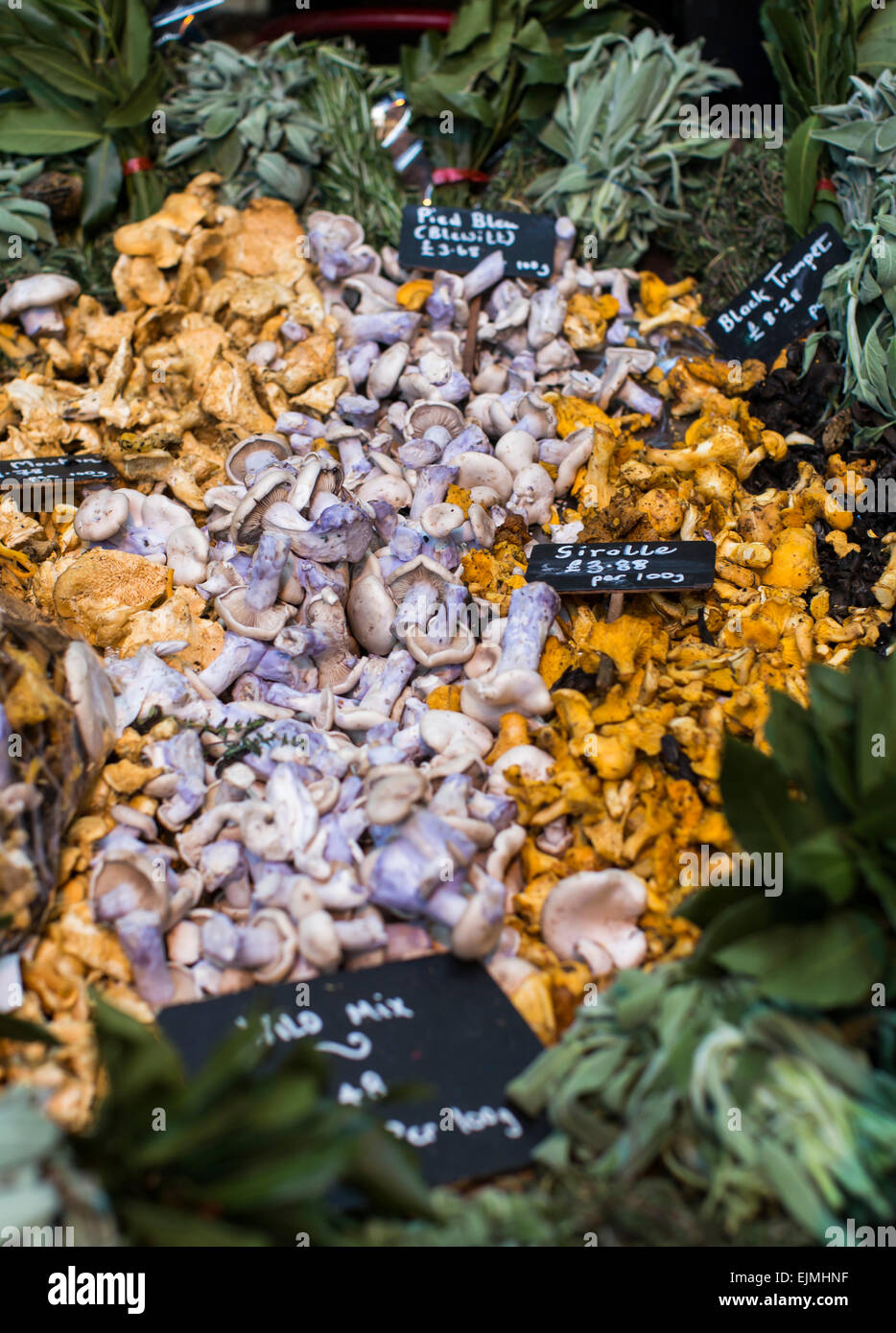 Supporto a fungo, Borough Market, Londra Foto Stock