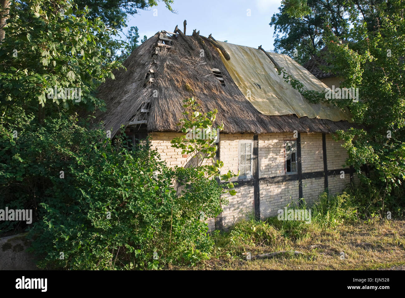 Cottage obsoleti trovata in un bosco vicino a Faaborg, Danimarca Foto Stock