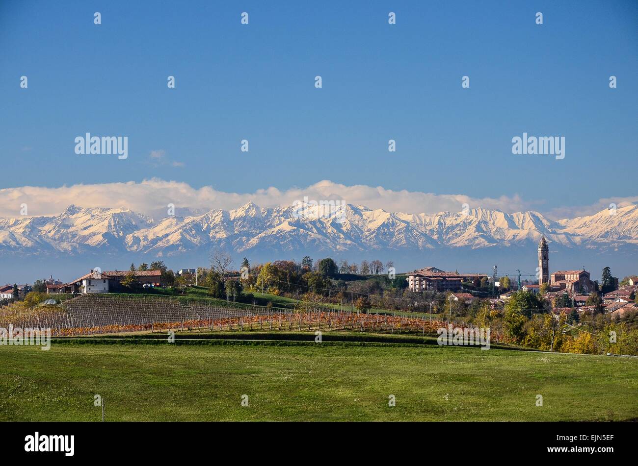 Il Barolo zona viticola autunno, Alpi Liguri in background, Foto Stock