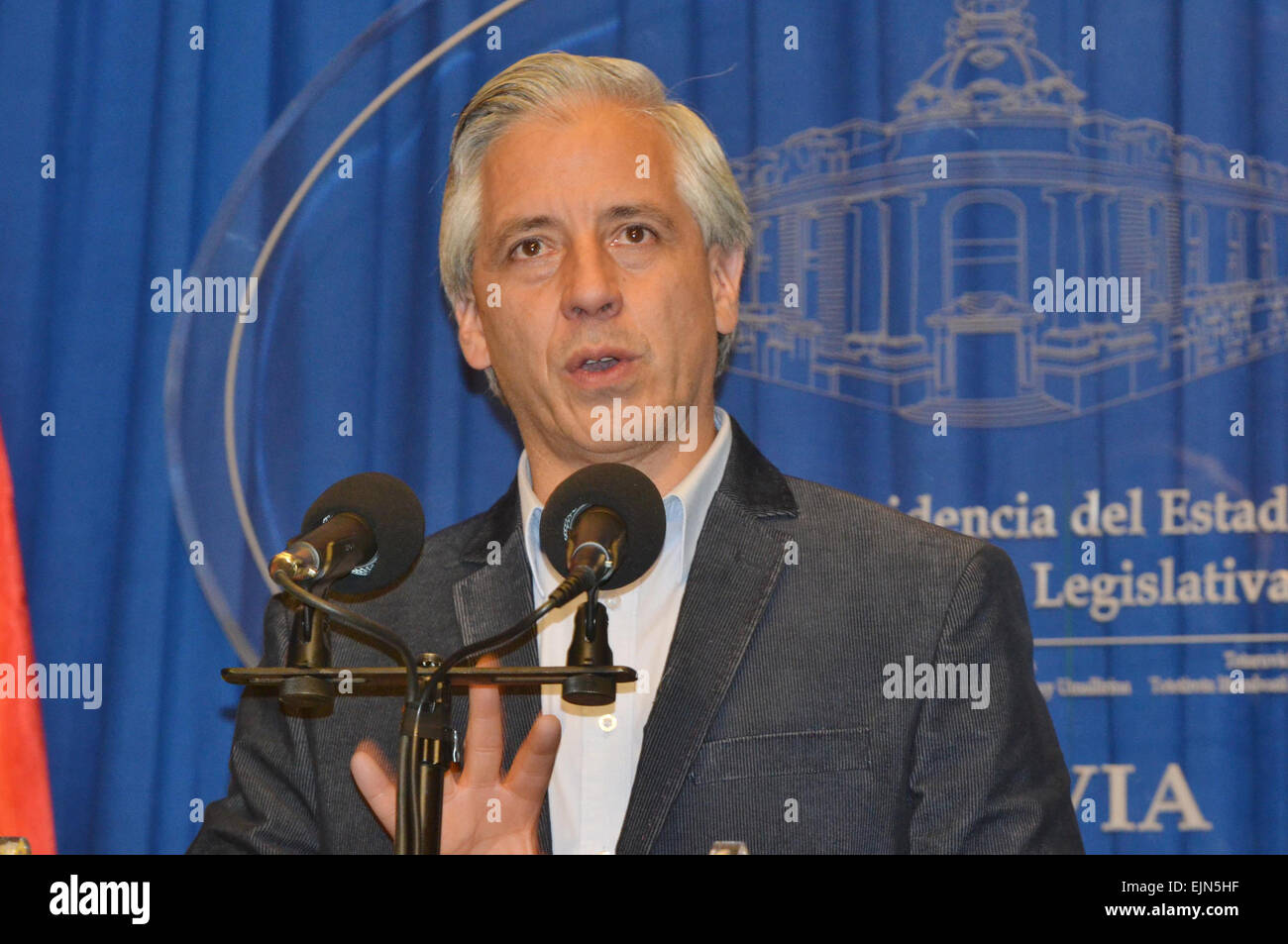 La Paz in Bolivia. 29 Mar, 2015. Boliviano Vice Presidente Alvaro García Linera parla durante una conferenza stampa dopo il reparto e alle elezioni municipali in La Paz, Bolivia, il 29 marzo 2015. © Jorge Mamani/ABI/Xinhua/Alamy Live News Foto Stock