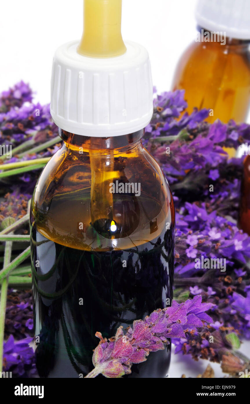 Un mucchio di fiori di lavanda e alcuni flaconi a contagocce con rimedi naturali su sfondo bianco Foto Stock